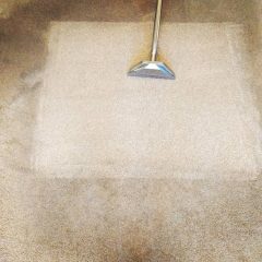carpet and upholstery cleaning (1)