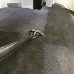 carpet and upholstery cleaning (20)