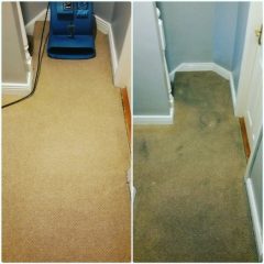 carpet cleaning upholstery cleaning (29)